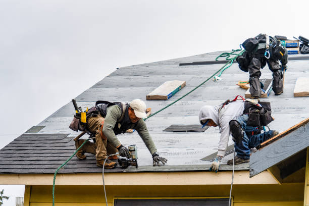 Professional Flat Roof Repair technician working in Crittenden, NY